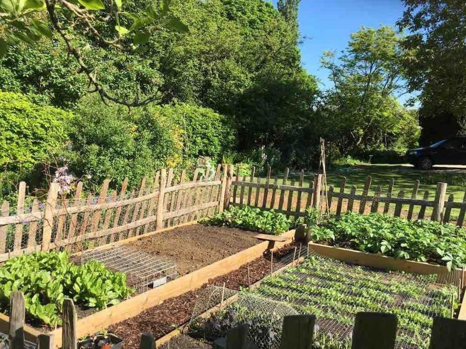 Stonesfield Masons Cottage, An Idyllic Retreat In An Area Of Outstanding Beauty, Close To Blenheim Palace, Oxford & The Cotswolds מראה חיצוני תמונה