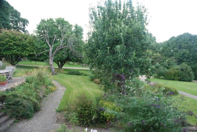 Stonesfield Masons Cottage, An Idyllic Retreat In An Area Of Outstanding Beauty, Close To Blenheim Palace, Oxford & The Cotswolds מראה חיצוני תמונה